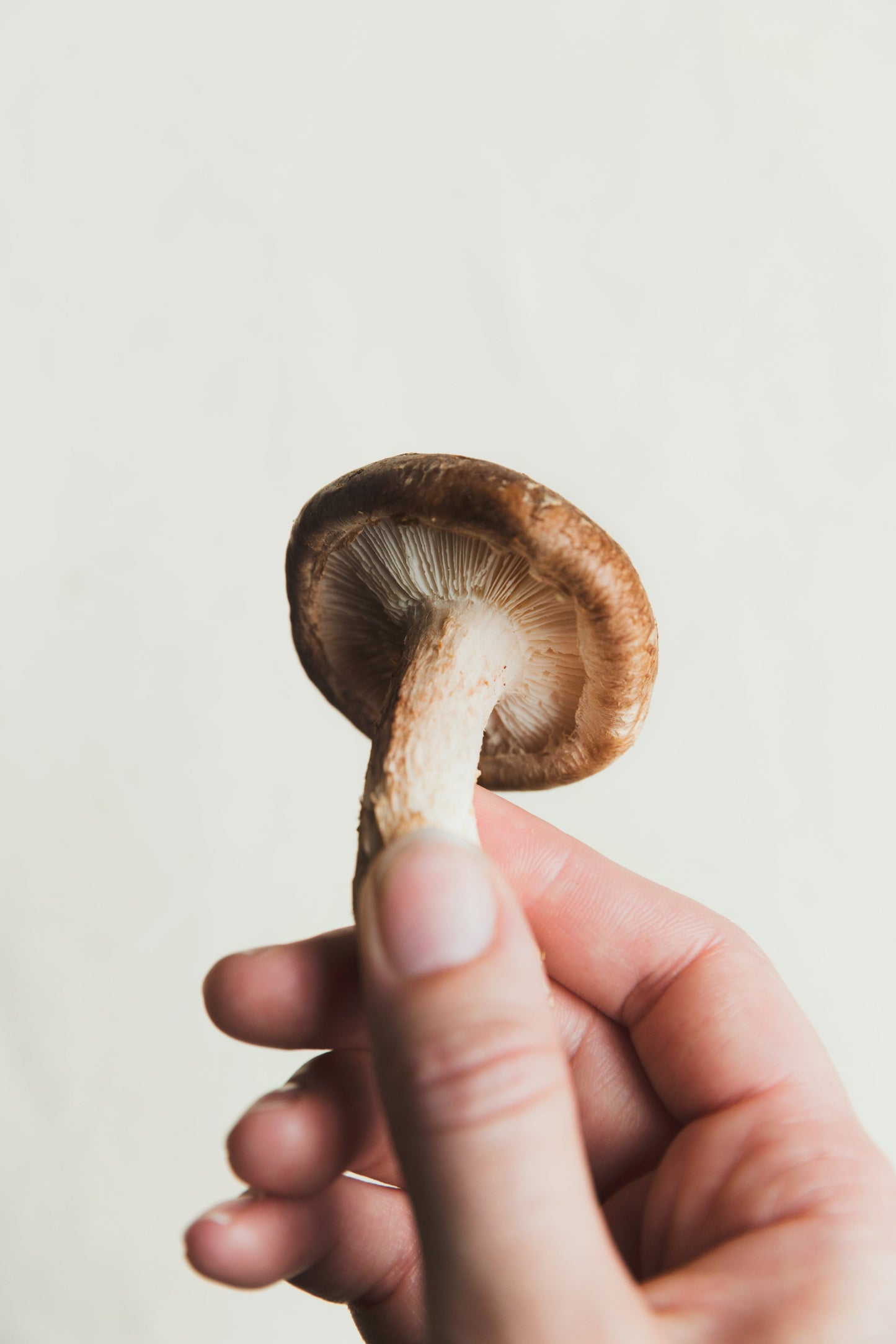 How to Track Your Microdosing Journey (and Why It Matters)